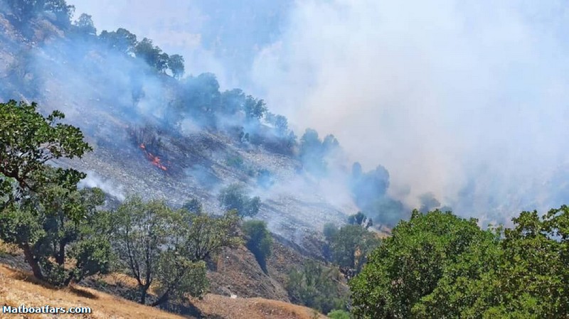 آتش در پارک ملی بموی شیراز فرو نشست